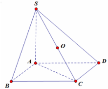 Kết quả hình ảnh cho hình chóp S.ABCD có đáy là hình vuông, SA vuông góc với đáy